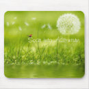 Search for soaring mouse mats Flight