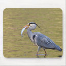 Search for egrets mouse mats Heron