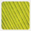 Search for 3 leaf stickers Nature