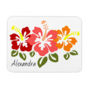 Search for trio magnets Pink
