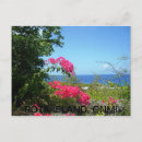 Search for rota Cnmi
