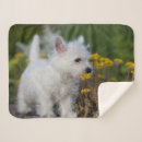 Search for west highland terrier blankets Animal