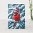 Search for red cardinal bird christmas cards Pine tree