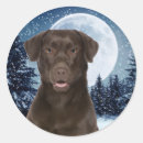 Search for chocolate lab stickers Retriever