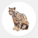 Search for jungle cat stickers Big