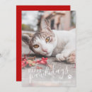Search for funny cat christmas cards Dog