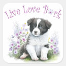 Search for border collie dog stickers Puppy