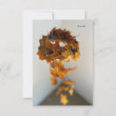 Search for fall season note cards Leaf