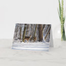 Search for forest city cards Snow