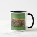 Search for calf mugs Grass