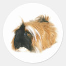 Search for guinea pig stickers Furry
