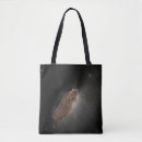 Search for interstellar bags Astronomy