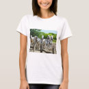 Search for gallop tshirts Beautiful