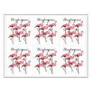 Search for flamingo wine labels Birds