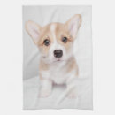 Search for corgi tea towels Pembroke welsh corgi