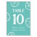 Search for seashells table cards Sand dollar