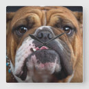 Search for english bulldog art Animals