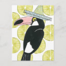 Search for sombreros postcards Cactus