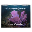 Search for life calendars Diving