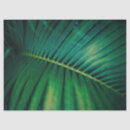 Search for leaf tissue paper Exotic