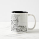 Search for birds eye view mugs Aerial