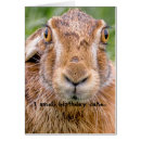 Search for noses photography Humourous