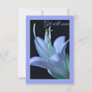 Search for hosta cards Flowers