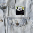Search for panda square badges Animals