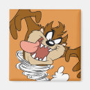 Search for taz magnets Tasmanian devil