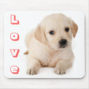Search for lab puppy electronics Retriever
