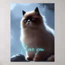 Search for himalayan cat posters Breed