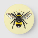Search for bumblebee clocks Beehive
