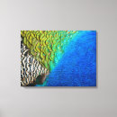 Search for blue feather canvas prints Colourful