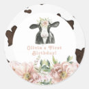 Search for cow stickers Holy cow birthday