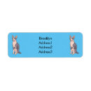 Search for sphynx cat return address labels Pet