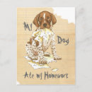 Search for german shorthaired pointers postcards Deutsch kurzhaar