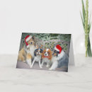 Search for sheltie christmas cards Xmas