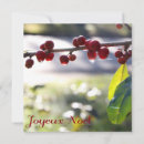 Search for joyeux noel cards Christmas greetings