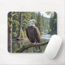 Search for predator mouse mats Nature