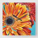 Search for color clocks Flowers