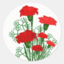 Search for red carnation stickers Floral