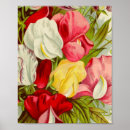 Search for trivet posters Flowers