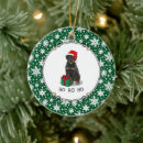 Search for rottweiler christmas tree decorations Santa