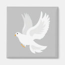 Search for doves magnets White