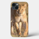 Search for serengeti cases Africa