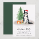 Search for border collie puppy invitations Pet