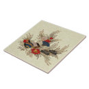 Search for ocean tiles Shells