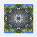 Search for blue pond magnets Green