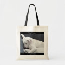 Search for innocence accessories Cute