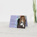 Search for hound photography Basset